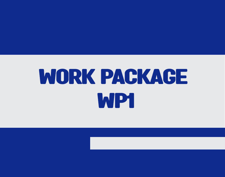 Work package WP1 – Project Initial Activities (PIA) (Lead University: DPU)