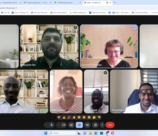 IIDEMIC Coordination Meeting (Online)