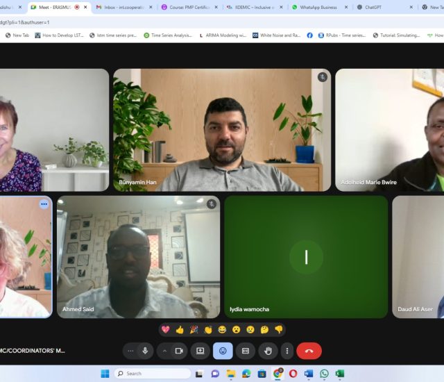 IIDEMIC Project Management Committee (PMC4) — Online Meeting